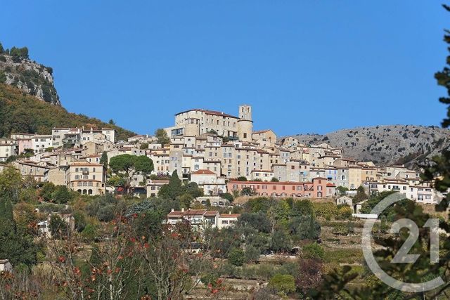  - LE BAR SUR LOUP - 