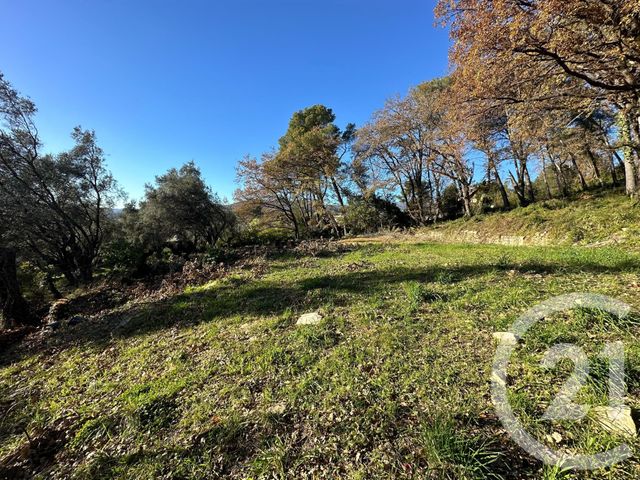 Afficher la photo en grand terrain à vendre - 5677.0 m2 - OPIO - 06 - PROVENCE-ALPES-COTE-D-AZUR - Century 21 Visa Immobilier
