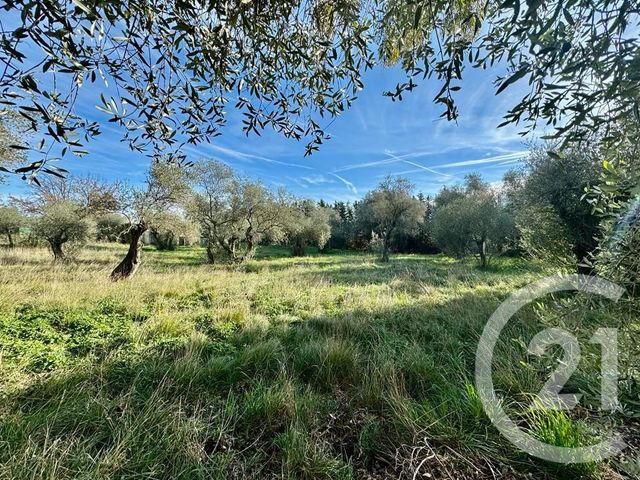 terrain à vendre - 2000.0 m2 - OPIO - 06 - PROVENCE-ALPES-COTE-D-AZUR - Century 21 Visa Immobilier