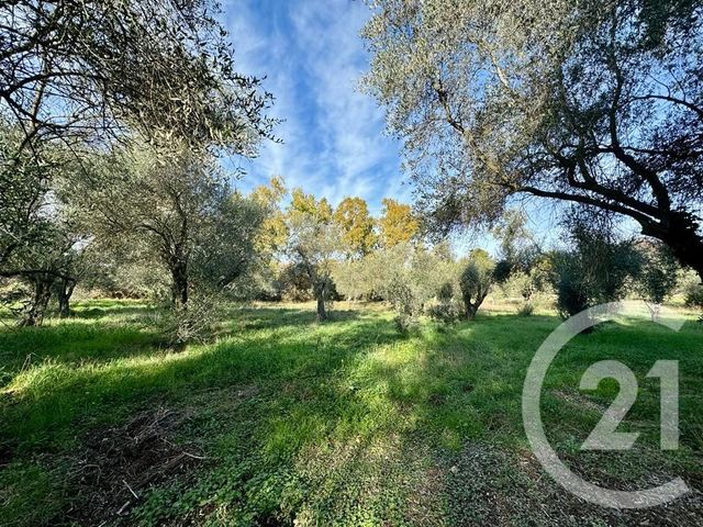 terrain à vendre - 2000.0 m2 - OPIO - 06 - PROVENCE-ALPES-COTE-D-AZUR - Century 21 Visa Immobilier